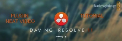 TUTORIAL-NEAT-VIDEO-DAVINCI-RESOLVE-11.jpg